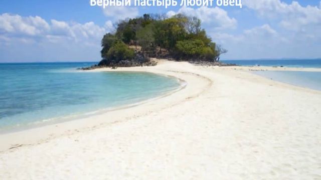 Ярл Пейсти - Верный пастырь любит овец 2 смотреть онлайн