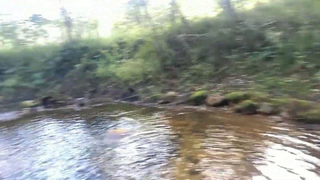 Березайка 2 смотреть онлайн