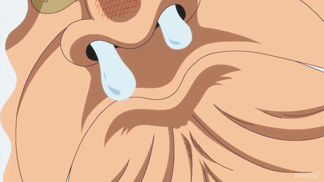 НОВАЯ НАГРАДА ЛУФФИ 1 500 000 000|LUFFY'S NEW BOUNTY |ONE PIECE смотреть онлайн