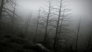 Чёрные Озёра - Скованный недугом (Bound disease)