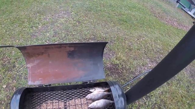 коптильня из газового баллона и сам результат копч смотреть онлайн