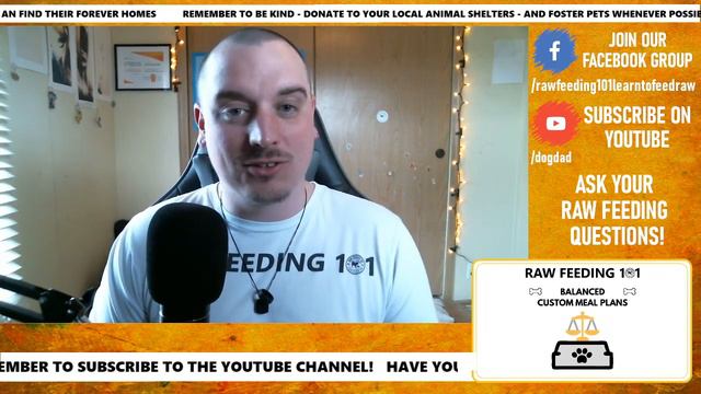 The Daily Raw Episode 91 - Raw Feeding Q&A смотреть онлайн