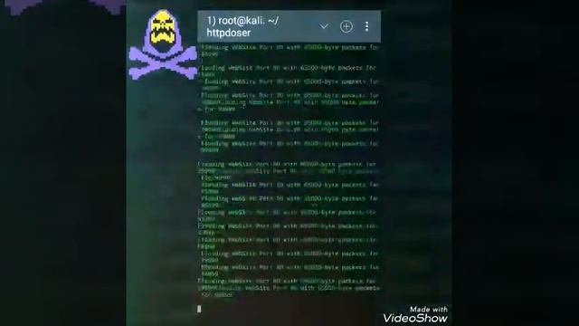 How To Ddos Using Script Python |Kali Nethunter смотреть онлайн
