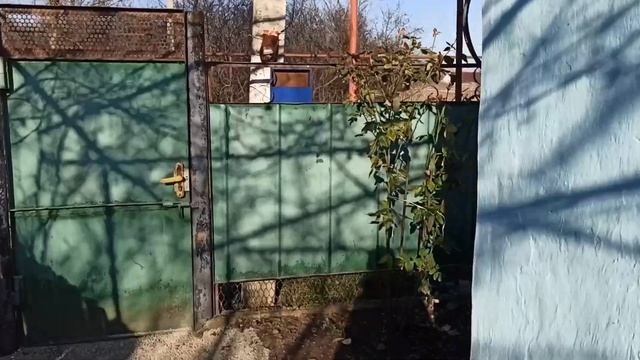 #27 ТУМАН / ЗАДЕЛЫВАЕМ ЛАЗ МЫШЕЙ / ПРОДОЛЖАЕМ РАСПИЛКУ /ПЕРЕЕЗД НА ЮГ/ИЗ ГОРОДА В ДЕРЕВНЮ/ДОМ НА ЮГ смотреть онлайн