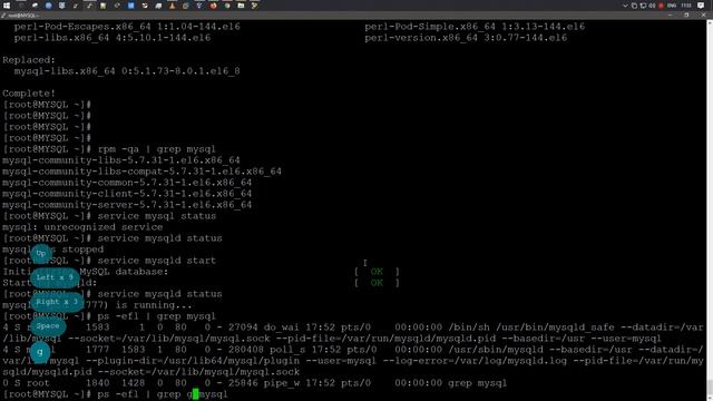 Установка MySQL 5.7 на Oracle Linux 6.10 смотреть онлайн
