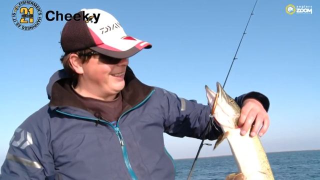 Pontoon21 Cheeky – редкий воблер уже прибыл!