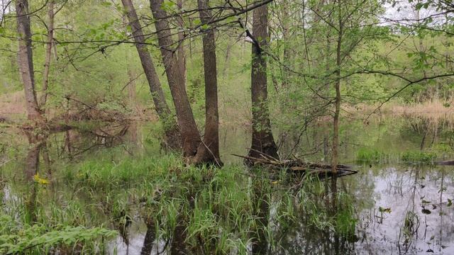 VID_20230430_100612 смотреть онлайн