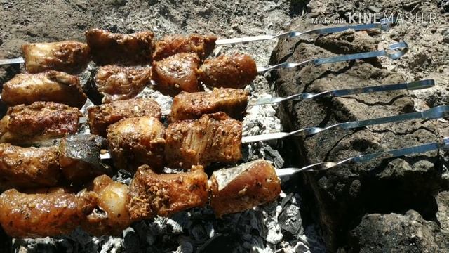 Шашлык из сома в Лесках Одесса смотреть онлайн