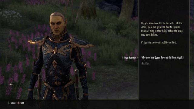 Lets Play The Elder Scrolls Online Episode 5! The Aldmeri Dominion! смотреть онлайн
