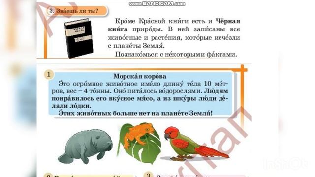 Русский язык 4 класс 47 урок қазақша смотреть онлайн