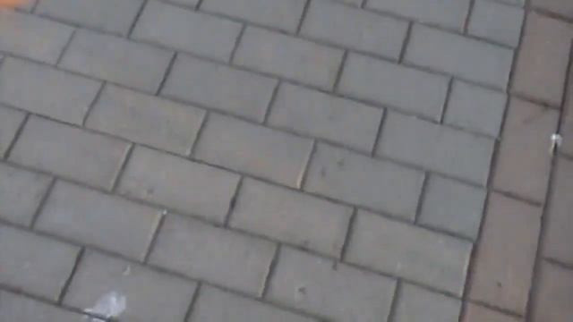 Мшинская весна 2011 смотреть онлайн