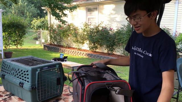 The Amazing Petsfit Expandable Travel Cat/Dog Carrier with Fleece Mat | Cool Gadgets For Your Pets смотреть онлайн