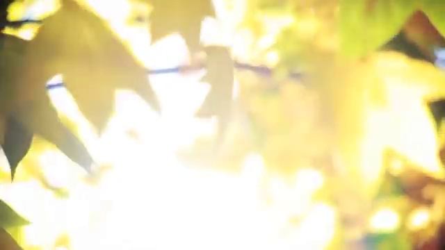 САМООЦЕНКА. ЧТО О ВАС ДУМАЮТ ОКРУЖАЮЩИЕ? Любовь к себе. Ада Кондэ смотреть онлайн