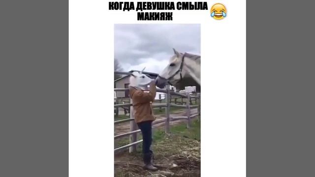 единорог ребятам на фронт я там уже был и знаю каково это 2202 2003 4591 2586 сбер смотреть онлайн