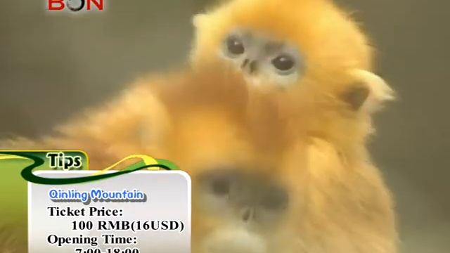 Top 10 cultural symbols in the Shaanxi Province - China Travel New Links - Episode 163 - BONTV Chin смотреть онлайн