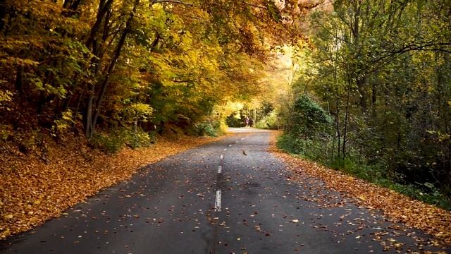 Automation run for Youtube: 04 Nov 2023 03:09:12:194 IST смотреть онлайн