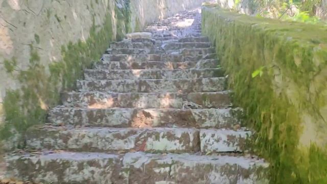 Старая Гагра, поднялись к старинному заброшенному замку, ч.2 #абхазия2023 смотреть онлайн