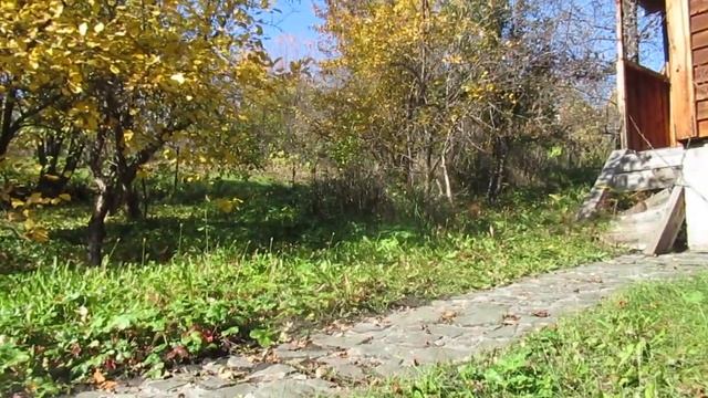 Поэт смотреть онлайн