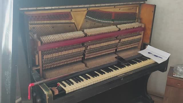 Настройка и ремонт пианино