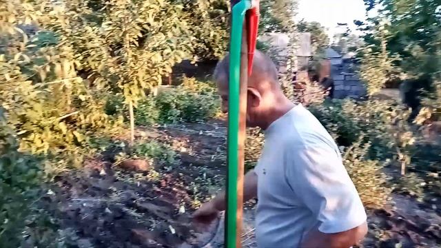 РАССАЖИВАЕМ ИРИСЫ смотреть онлайн