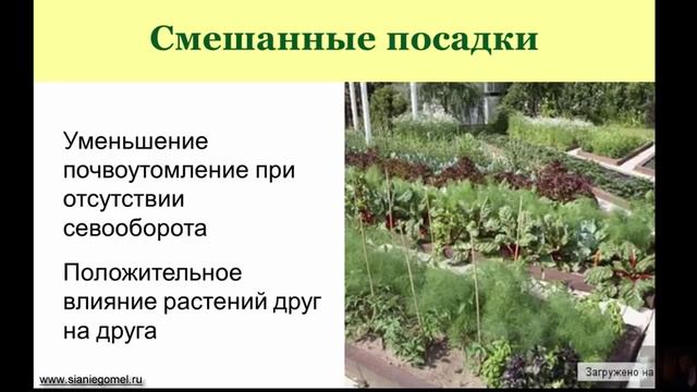 Природное земледелие по полочкам смотреть онлайн