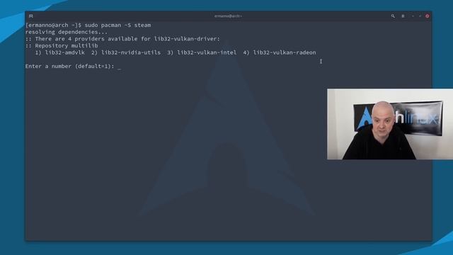 Steam on Arch Linux смотреть онлайн