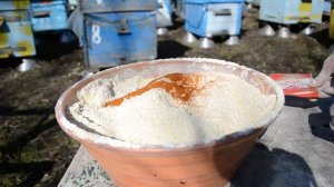 Весенняя подкормка пчел заменителями пыльцы