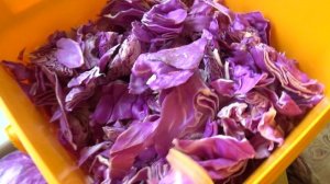 Маринованная фиолетовая капуста.