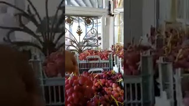 Виноград сорт Тайфи Иран отправляем в Краснодар 23.09.20 смотреть онлайн