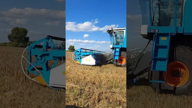 Агромаш 4000 зерноуборочный комбайн по пшенице смотреть онлайн
