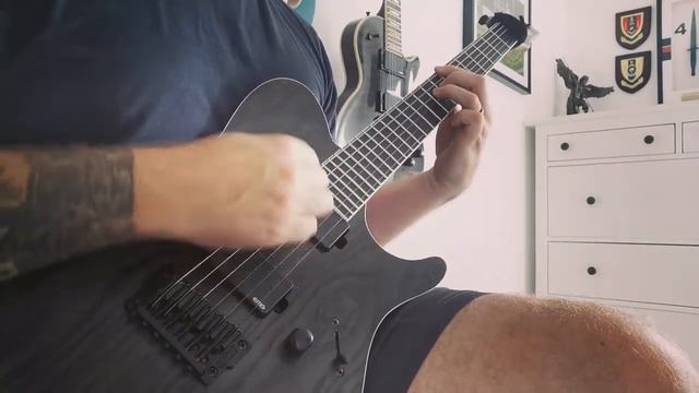 Job For A Cowboy - Ruination Guitar Cover смотреть онлайн