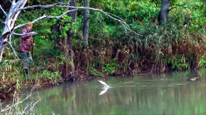 Особо успешная рыбалка на орешниковые удочки с жерлицами..