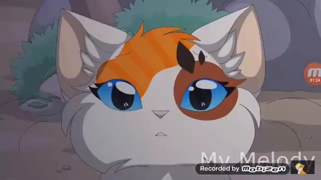 Коты воители бич