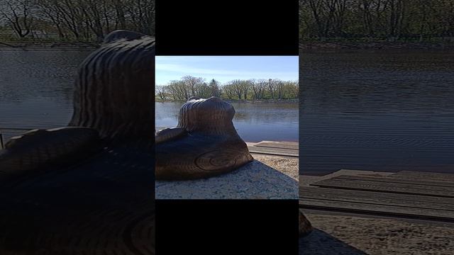 Старорусский Кот. Старая Русса, апрель 2024 год