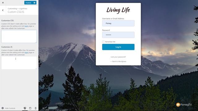 WordPress Login Plugin - LoginPress FREE & Pro смотреть онлайн