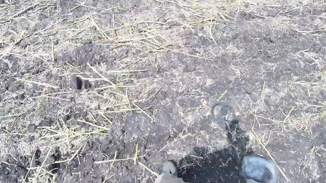 ЧЕРНЯХОВСКАЯ БУСИНА И ТОПОР АМУЛЕТ/ КОП НА ПОЛЕ / смотреть онлайн