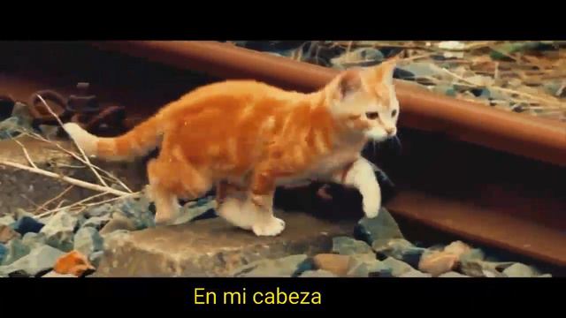 Don diablo -HIGHER ft betty who music español смотреть онлайн