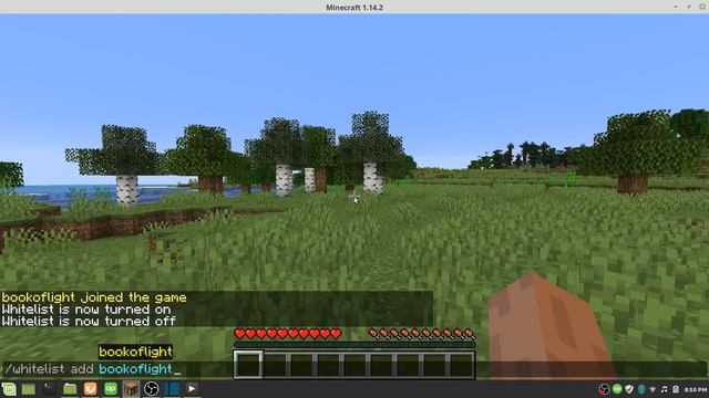 How To Setup A Whitelist on Your Minecraft Server смотреть онлайн