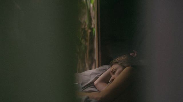 Лук и Чеснок. Аюрведа. Основы. смотреть онлайн
