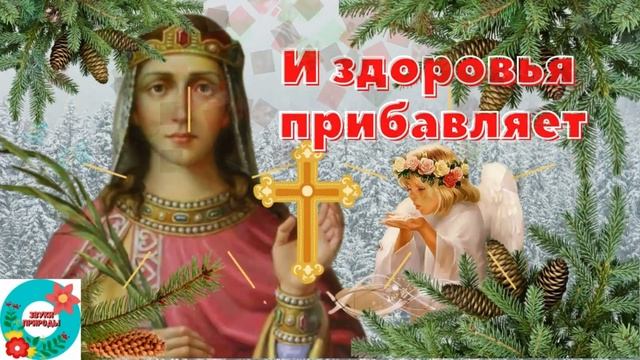 Великомученица Екатерина покровительница учащихся, семей и детей. С Днем Святой Екатерины.7 декабря смотреть онлайн