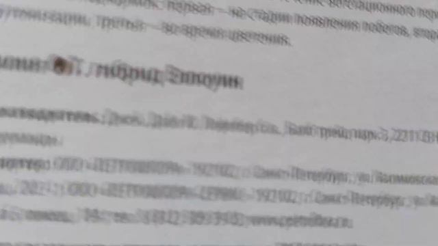 Обзор покупок из Fix Price смотреть онлайн