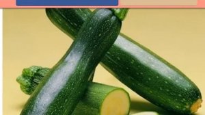 в чем разница между кабачком и цукини