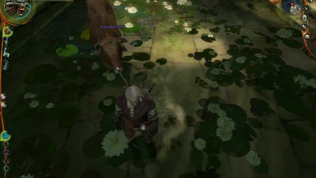 Let's Play The Witcher 1 Part °100° #Geißelnahme im Dorf# German By Rufnex смотреть онлайн