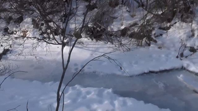 поймал 44го волка смотреть онлайн