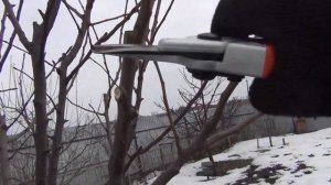 Обрезка ГРУШИ весной КАК обрезать ГРУШУ
