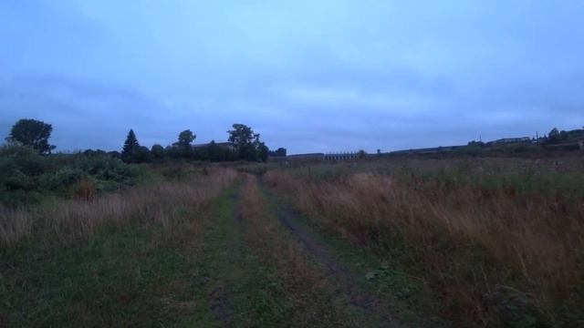 СЕЛО КАМЫШЕВО ИЗУЧАЕМ ТЕРРИТОРИЮ ДЛЯ РЫБАЛКИ смотреть онлайн