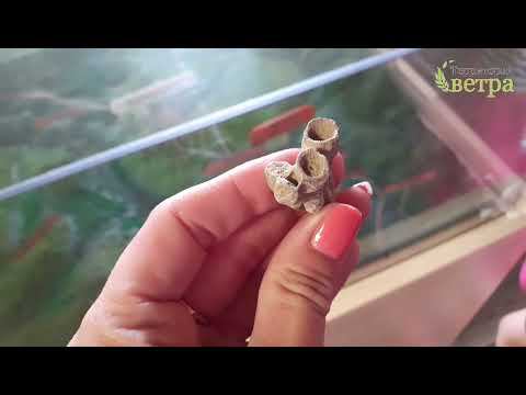 Игнатьевские пещеры. Серпиевский пещерный град смотреть онлайн