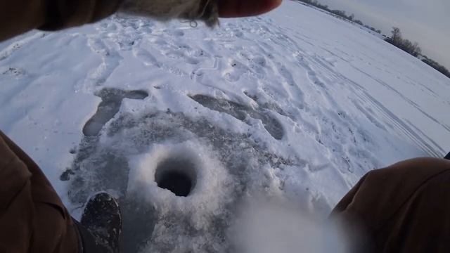 Зимняя рыбалка на чёртика! Ловля крупного ОКУНЯ и ПЛОТВЫ ! Рыбалка 2023! смотреть онлайн