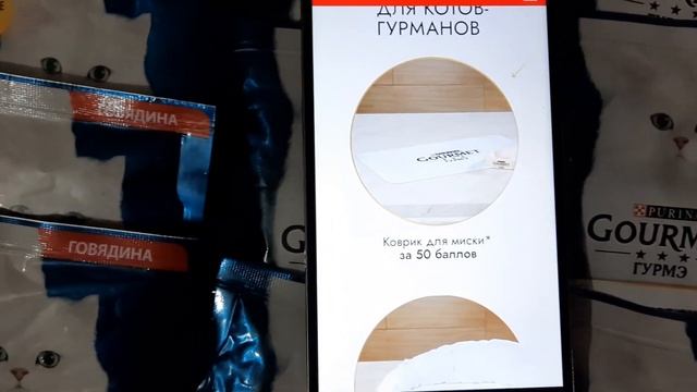 Акция Gourmet Призы от шефа Ивлева для котов и их хозяев. #откотошефаслюбовью