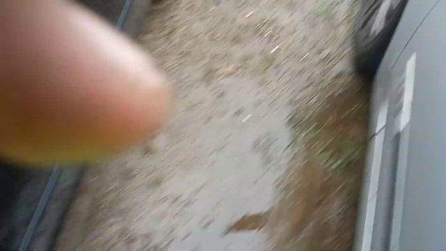 Разборка Mazda - 3 (BK) 2003-2009, 1.6 (VIN: JMZBK14Z501362378) SM06EWP смотреть онлайн